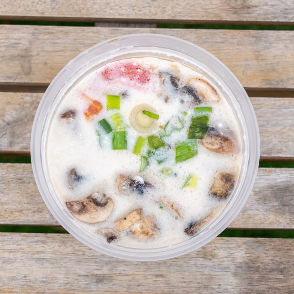 Overhead view of a creamy soup with mushrooms, tomatoes, and green onions in a plastic container.