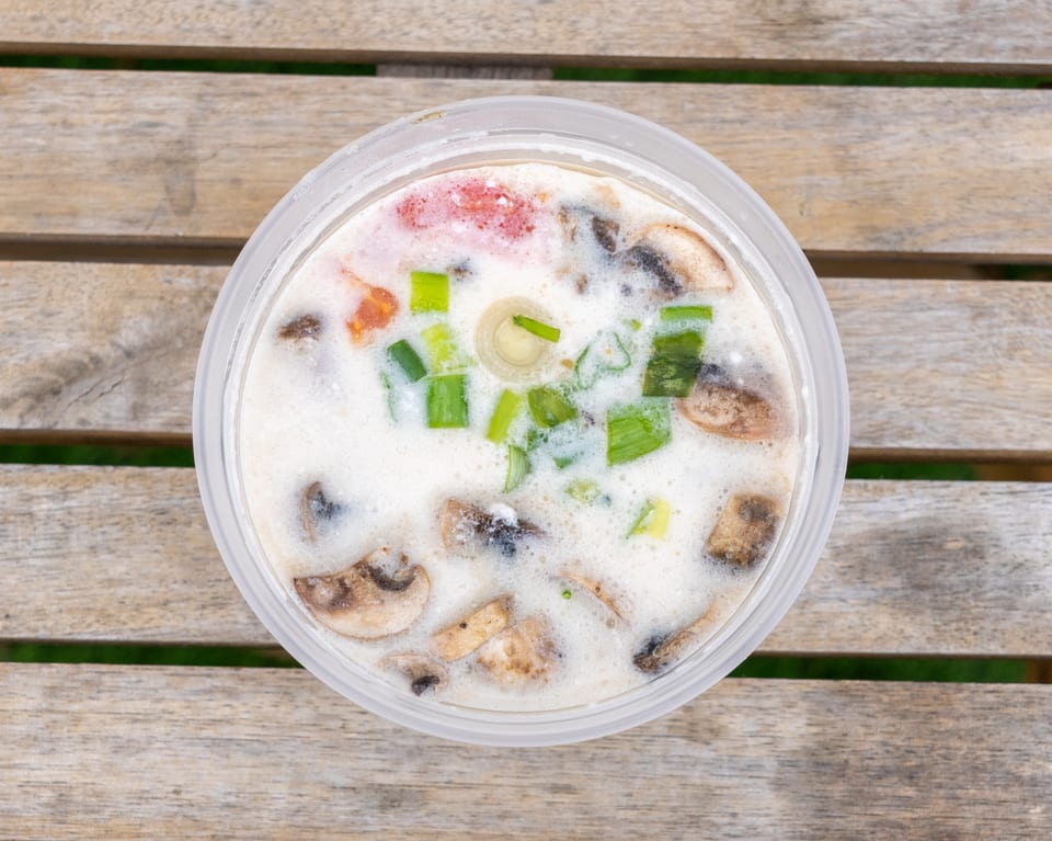 Overhead view of a creamy soup with mushrooms, tomatoes, and green onions in a plastic container.